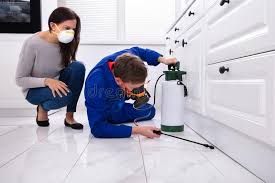 Best Pest Exclusion Services  in Douglasville, GA